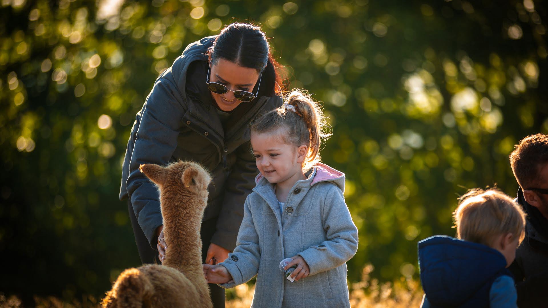 Mother and daughter patting alpacca - Visit Ruapehu.jpg